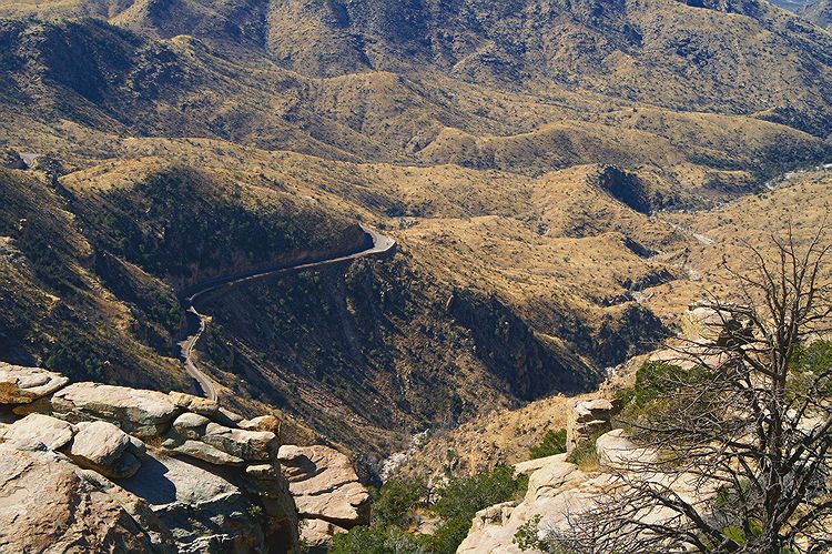 Mt Lemmon  #5