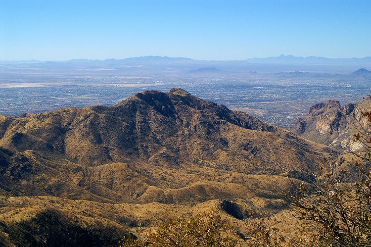 Mt Lemmon  #9