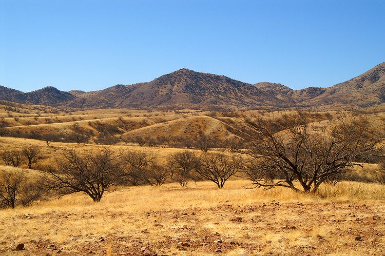 Arivaca  #1