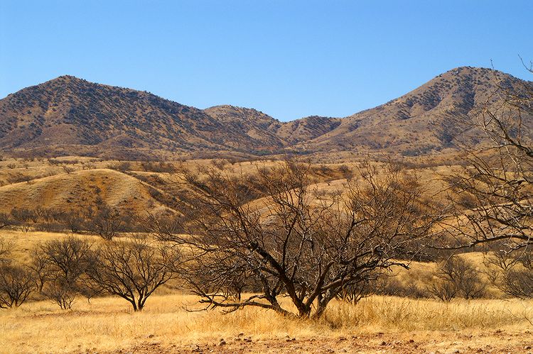 Arivaca  #2