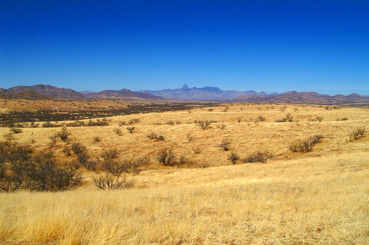 Arivaca  #4