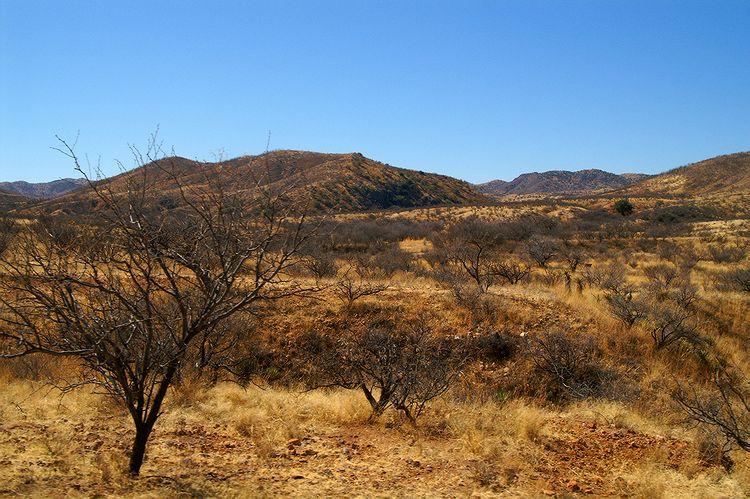 Arivaca  #6