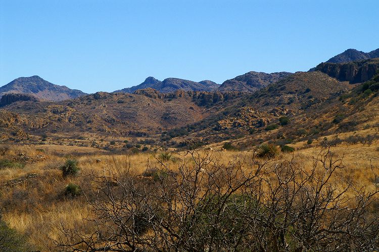 Arivaca  #8