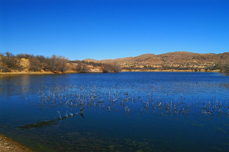 Arivaca  #10