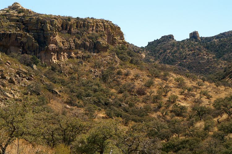 Arivaca  #13