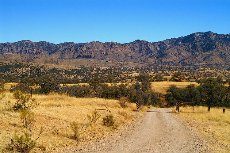 Arivaca  #19