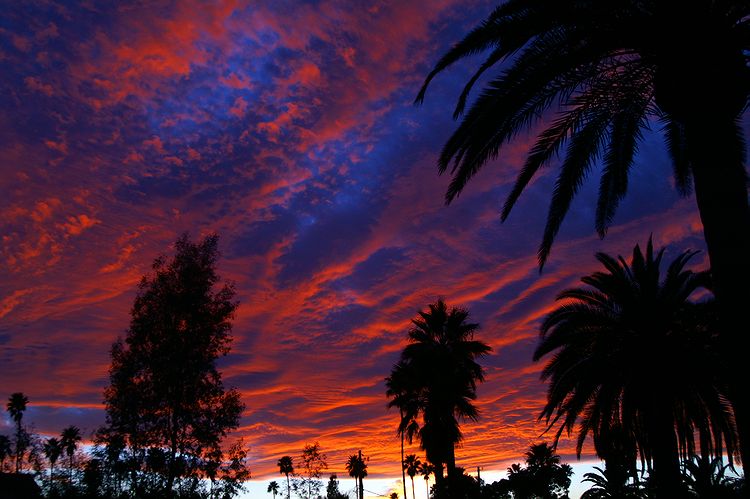 Tucson 2007