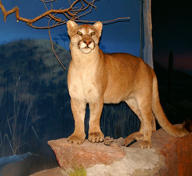 Museum #5