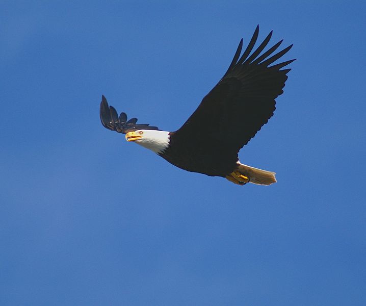 PICT8069d.jpg