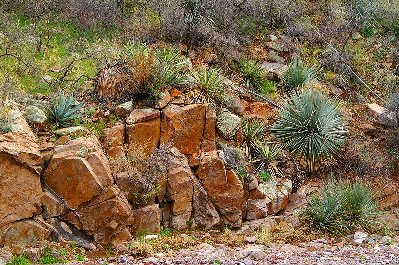 Copper Creek #2