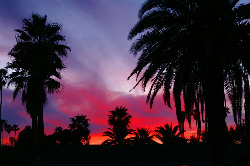 Tucson #9