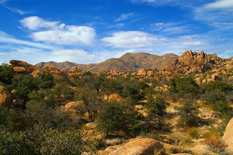 Texas Canyon #6