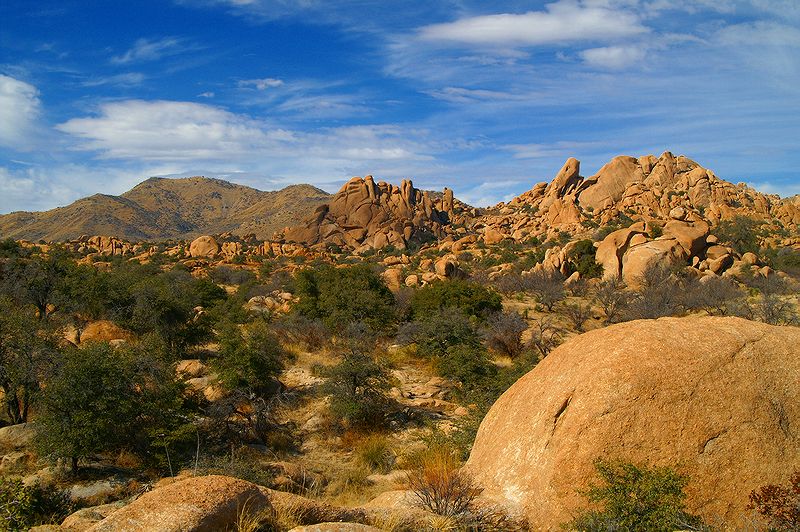 Texas Canyon #7