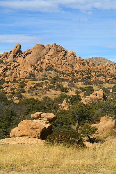 Texas Canyon #11