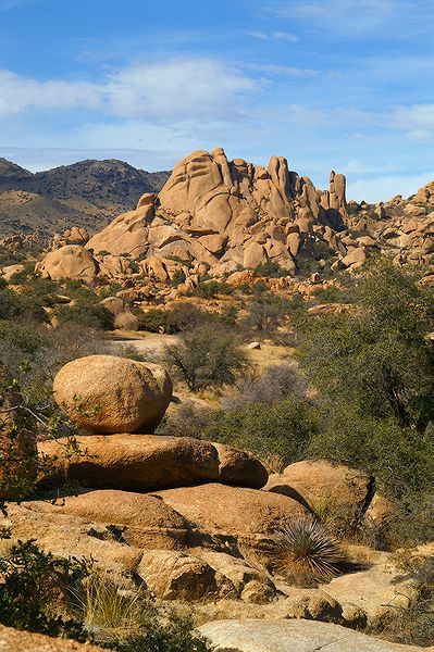 Texas Canyon #13