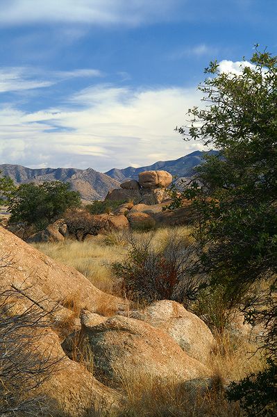 Texas Canyon #19