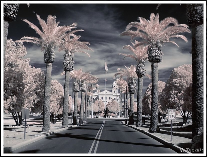 Tucson #7