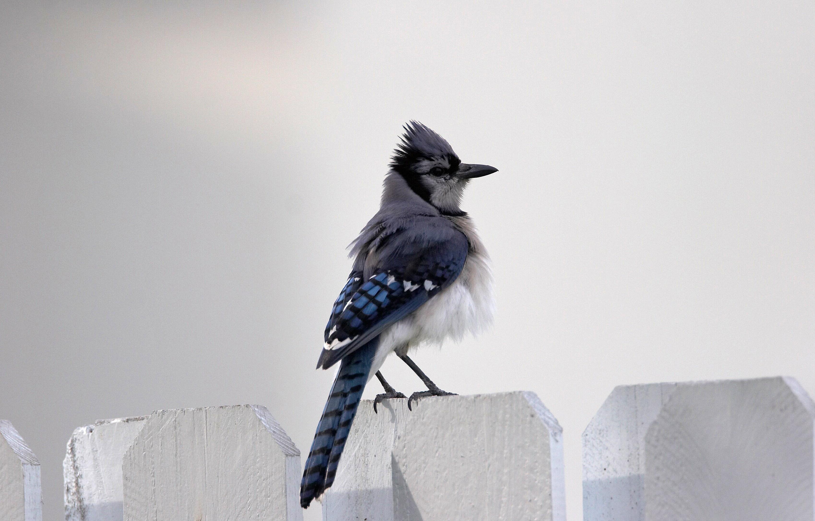IMG_5272 PS.jpg