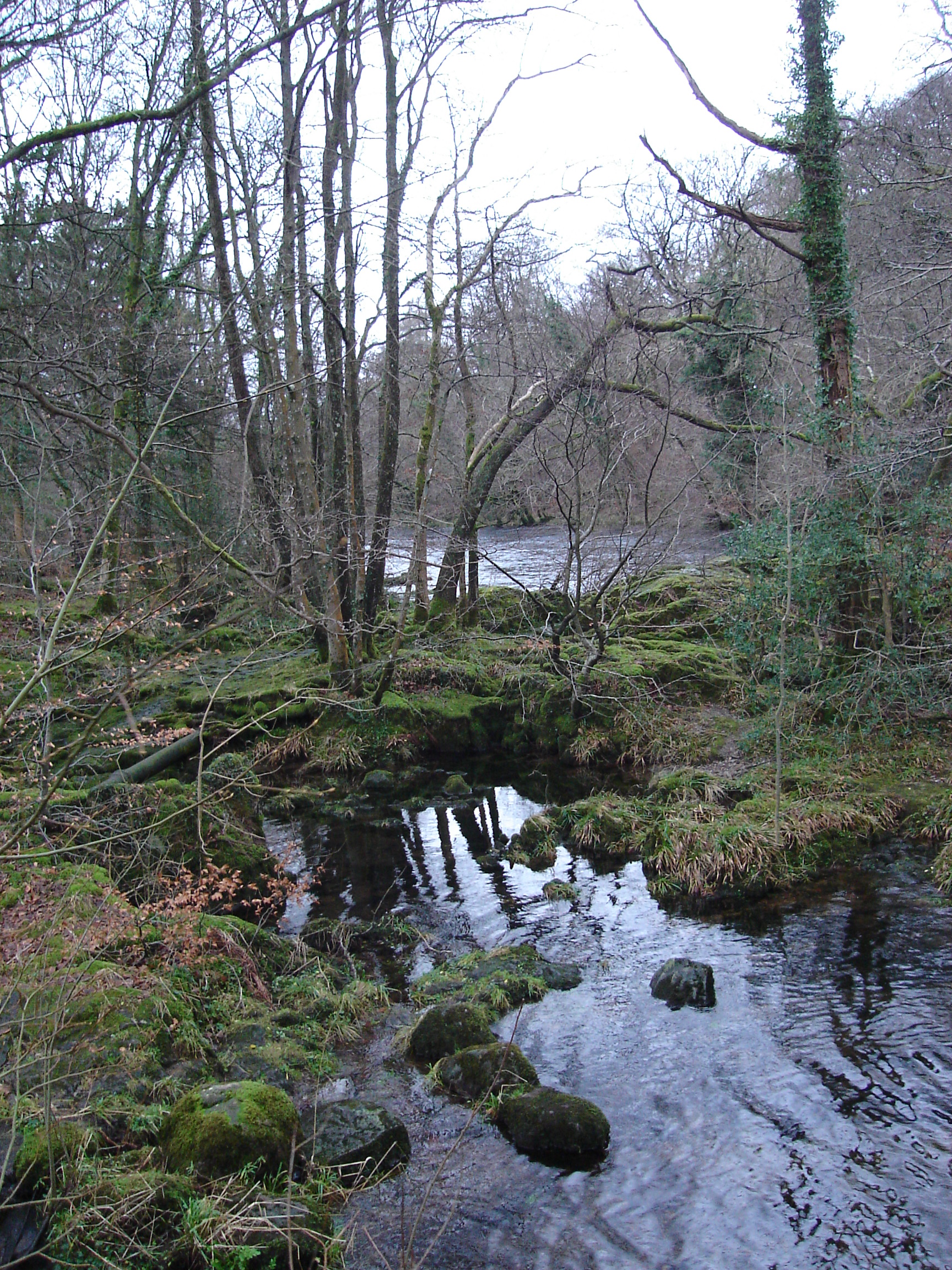 DSC08843.JPG
