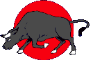 bull.gif