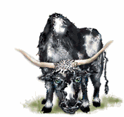 bull.gif