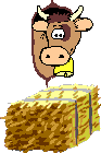 cow.gif