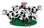 cow.gif