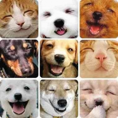 Faces.jpg