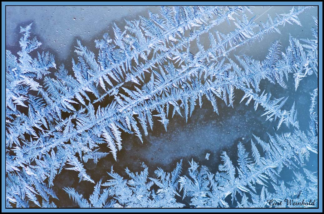 FrostFerns on glass