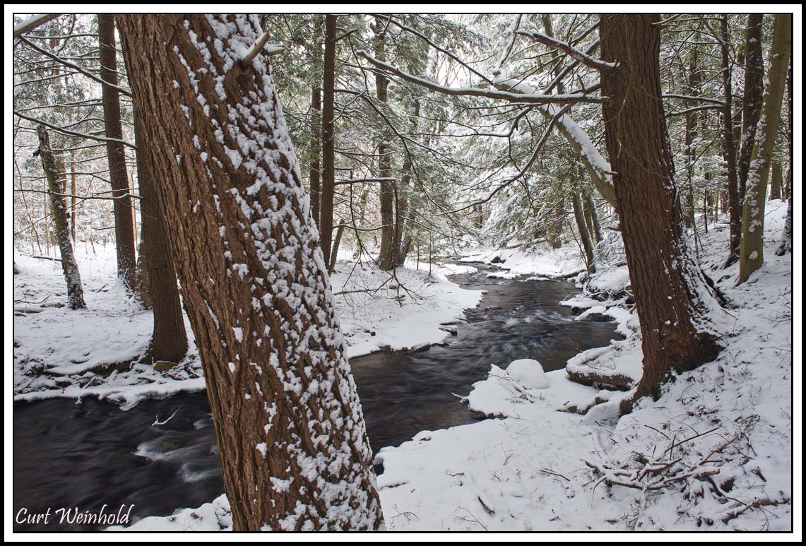 Dingman Run snowfall 2