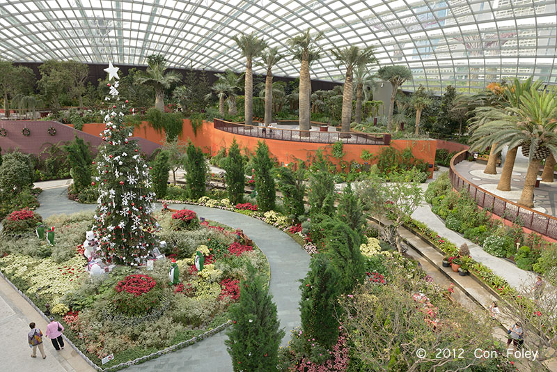 Inside Flower Dome