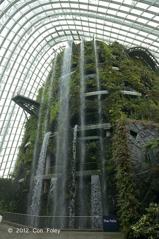 Inside Cloud Forest