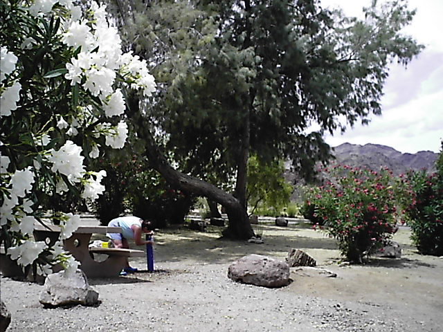 Las Vegas Camping - May 19, 2006
