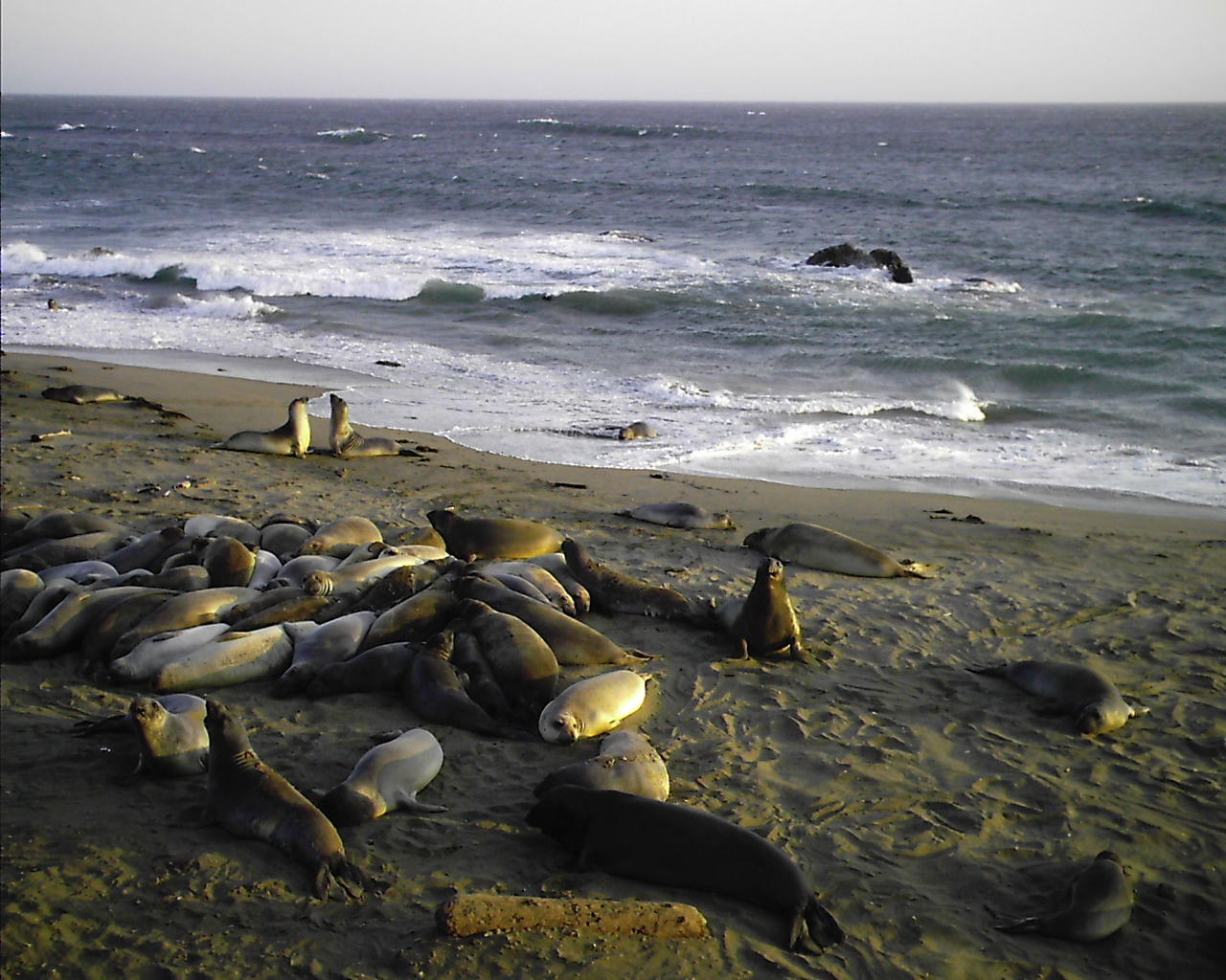 San Simeon, California, USA - May  2006