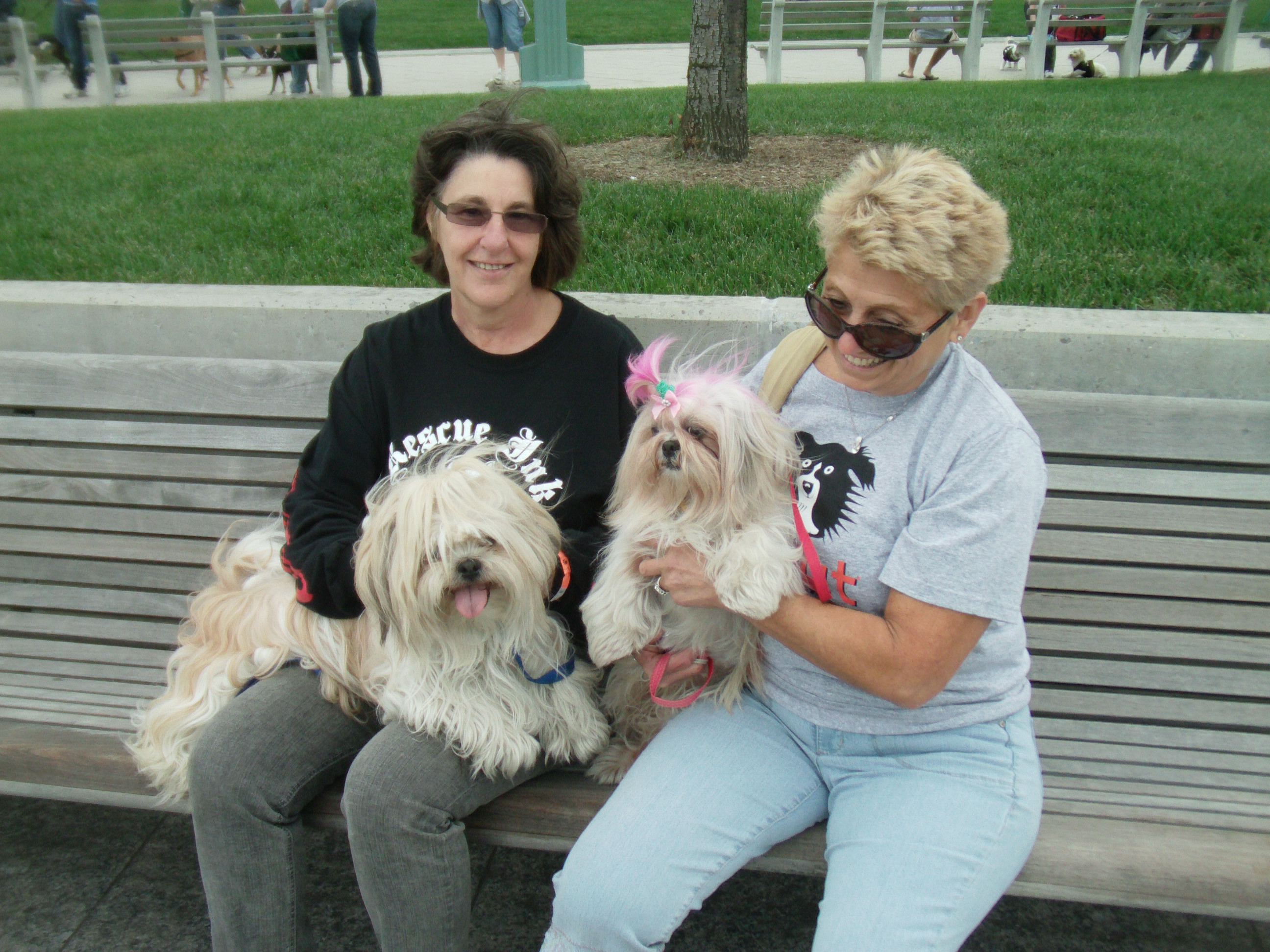Strut Your Mutt 172.jpg