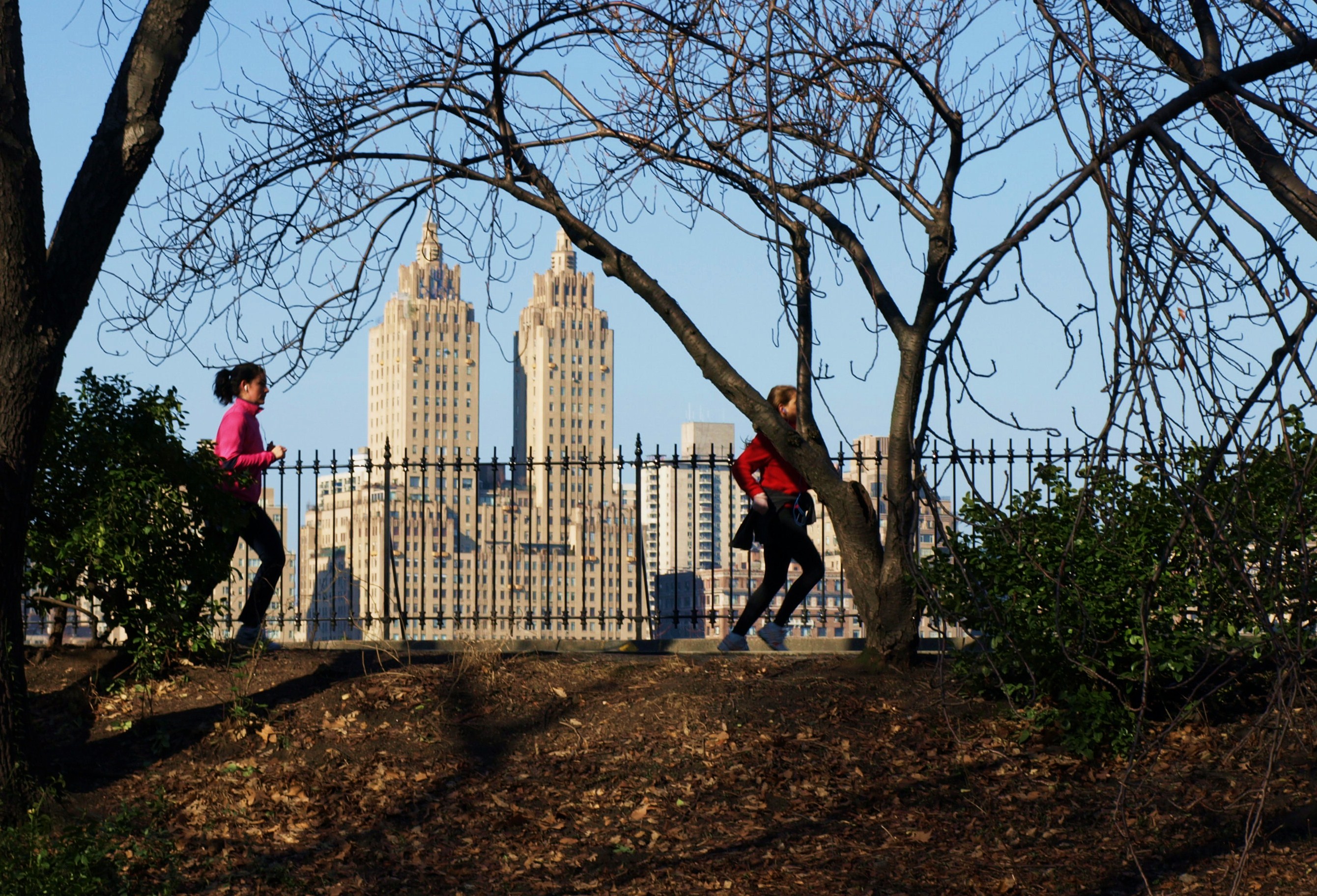 Jogging at the reservoir