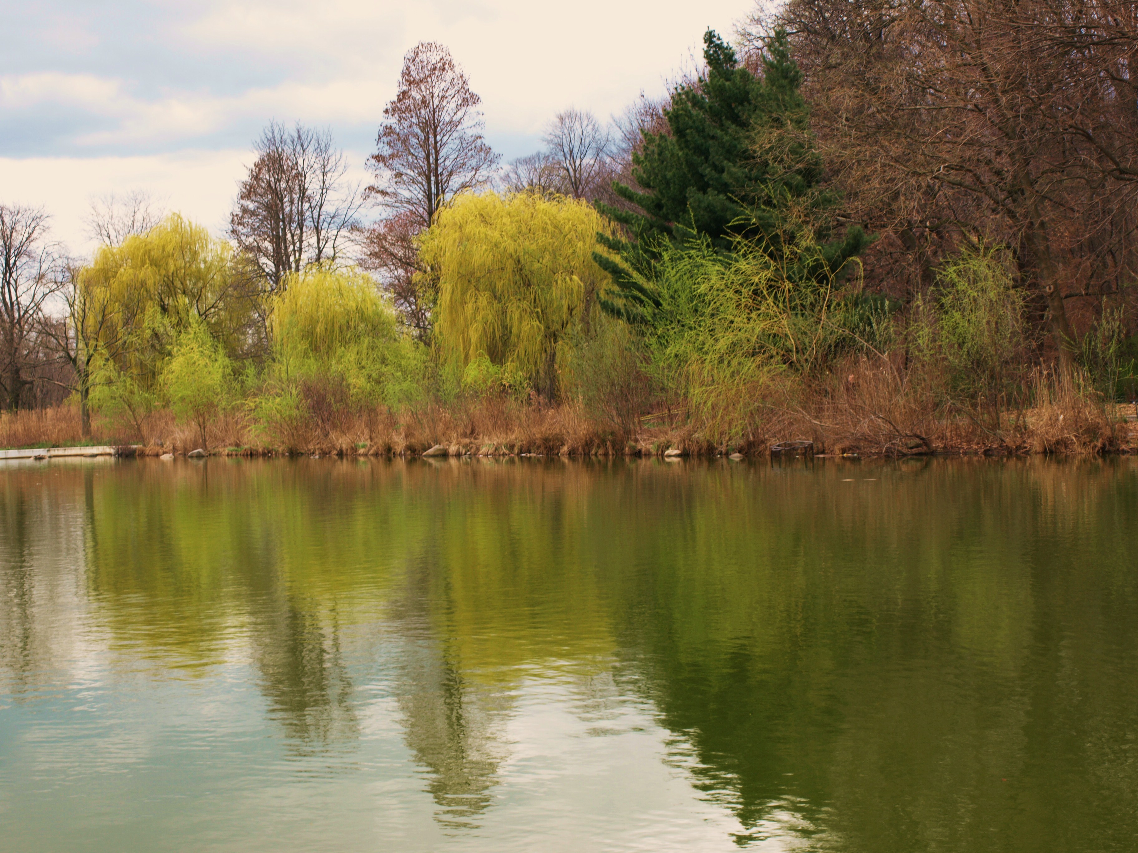 Reflections at Kissena Park