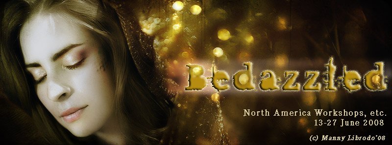 banner.jpg