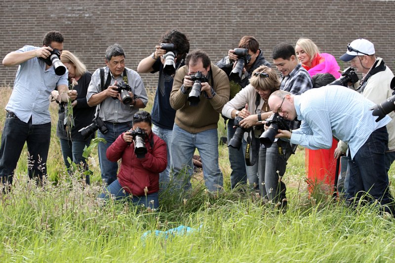 Behind the Scenes by Mauro