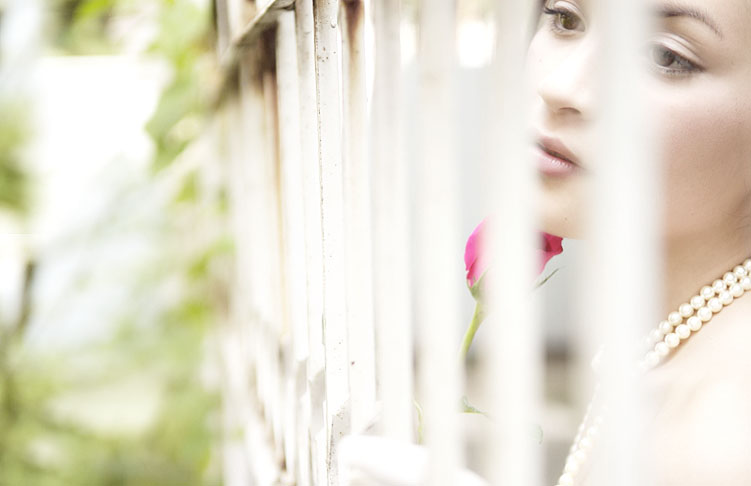 fence