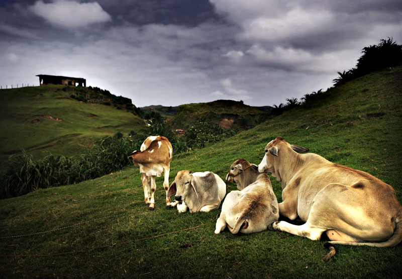batanes009.jpg