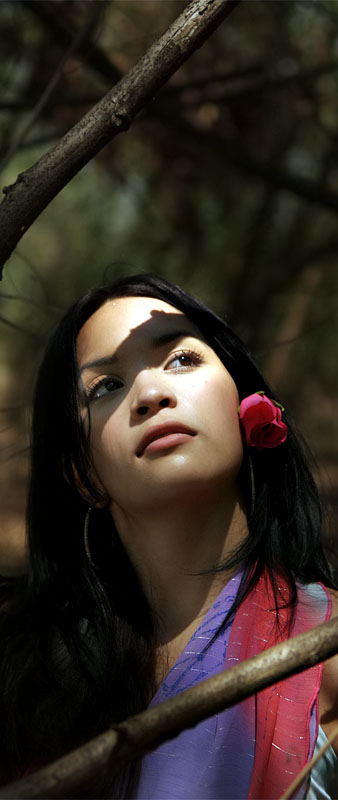 moods in woods 2