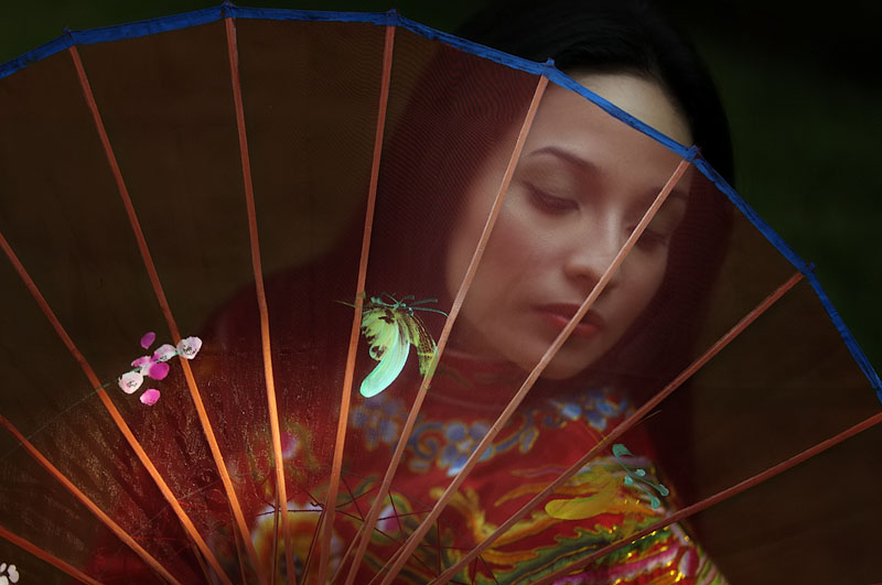 umbrella 4