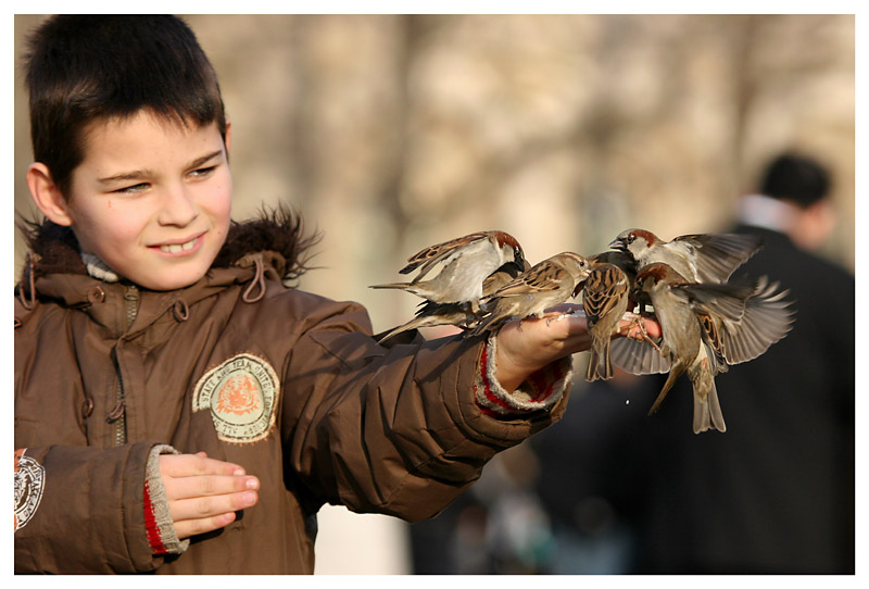 Les enfants aux oiseaux