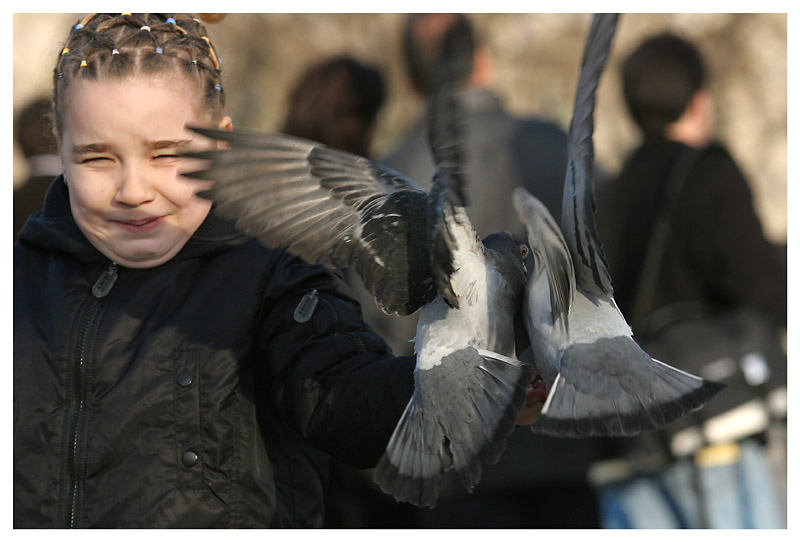 Les enfants aux oiseaux