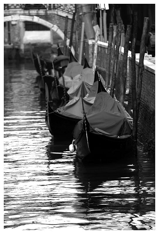Venise Black & White
