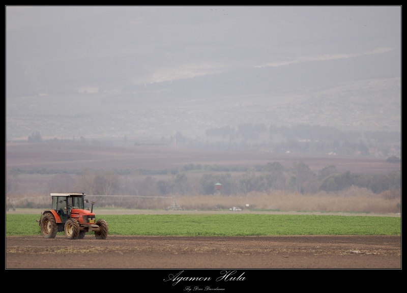 DSC_9037.JPG