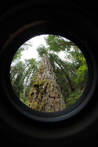 DSC_5544_resize.JPG