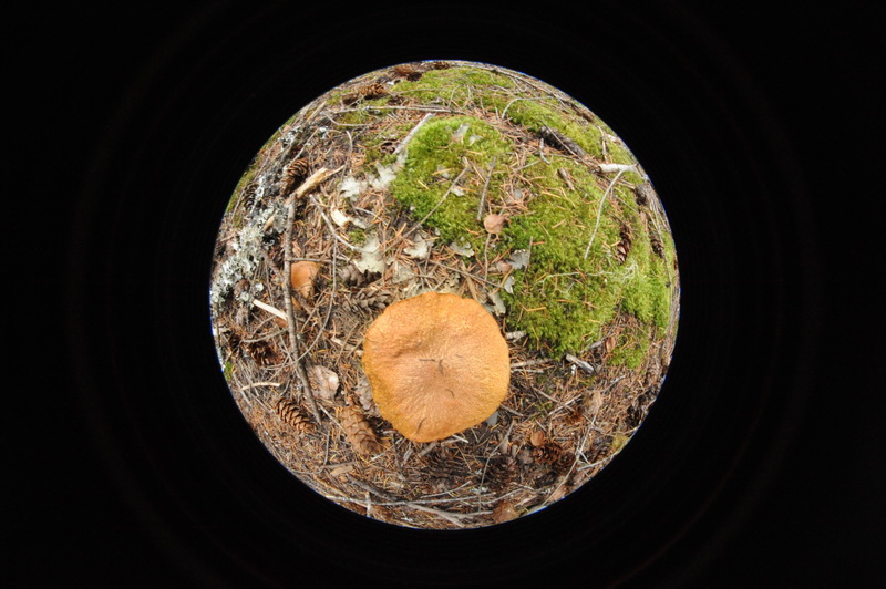 DSC_5604_resize.JPG