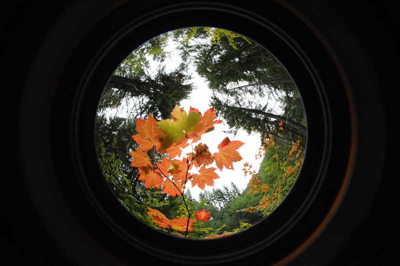 DSC_5653_resize.JPG